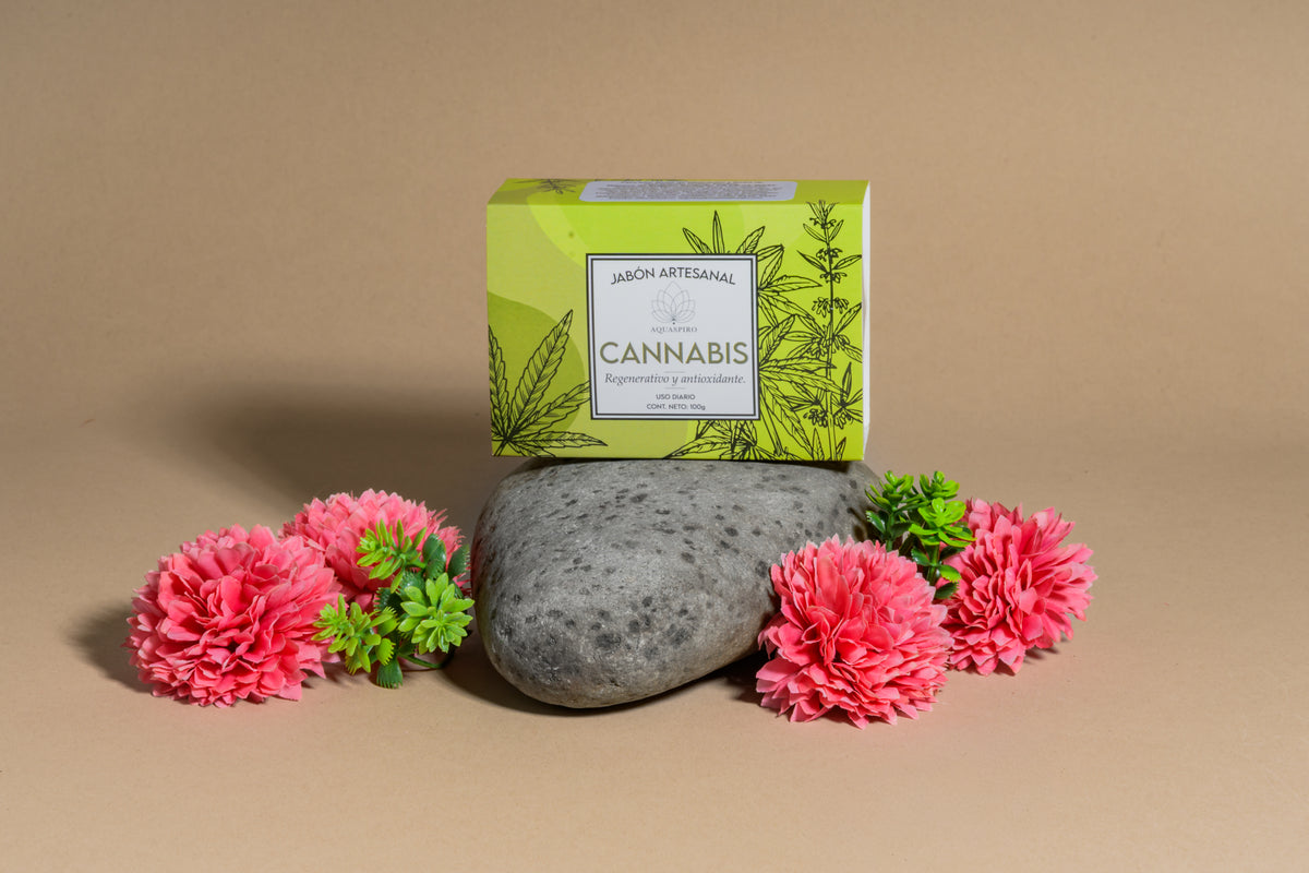 Jabón Artesanal de Cannabis regenerativo y antioxidante